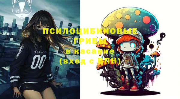 индика Абдулино