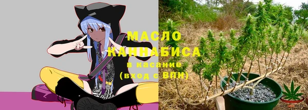 индика Абдулино