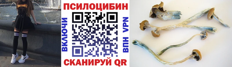 Псилоцибиновые грибы прущие грибы  даркнет сайт  Северская 